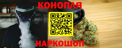 гидра Кингисепп