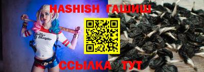 гидра Кингисепп