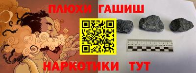 гидра Кингисепп