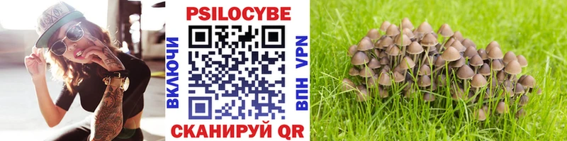 Псилоцибиновые грибы Magic Shrooms  Заречный 