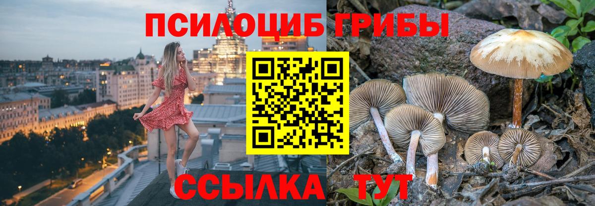 Заречный  Псилоцибиновые грибы Psilocybe  Галлюциногенные грибы мицелий  Вход с VPN 
