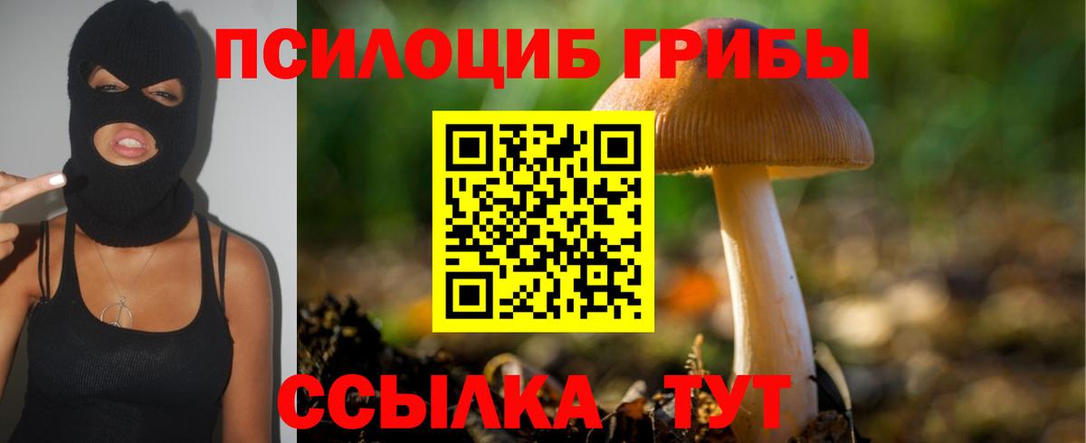 Галлюциногенные грибы Psilocybe  Заречный 
